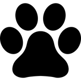 Symbol 7